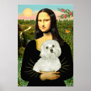 Maltesiska 11 - Mona Lisa Poster