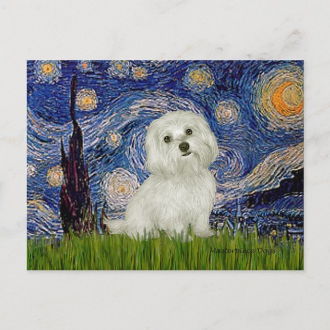 Maltesiska 11 - Starry Night Vykort (Framsida)