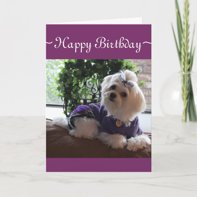 Maltesiska 2 kort (Framsida)