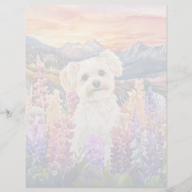 Maltesiska - 8,5 tum x 11 tum Stationery Lakan (Framsida)