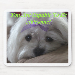 Maltesiska Designade Sak Musmatta