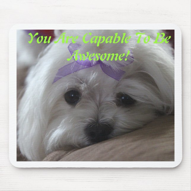 Maltesiska Designade Sak Musmatta (Framsidan)