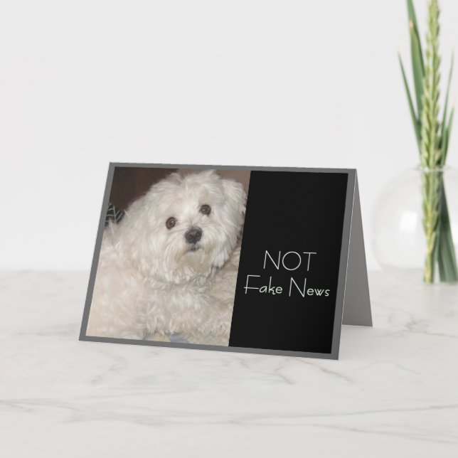 Maltesiska födelsedagen Humor för Alla Kort (Framsida)