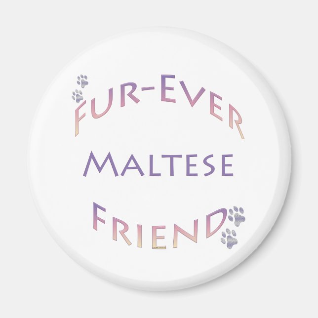 Maltesiska Furever Magnet (Framsidan)