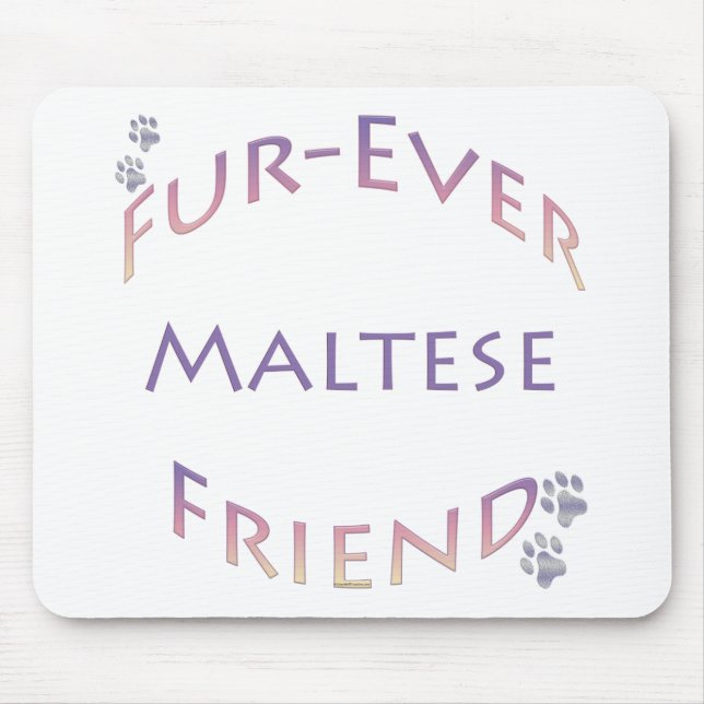 Maltesiska Furever Musmatta (Framsidan)