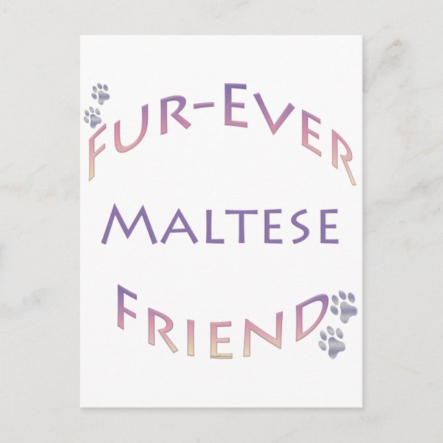 Maltesiska Furever Vykort (Framsida)