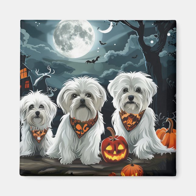 Maltesiska Halloween Spooky Magnet (Framsidan)