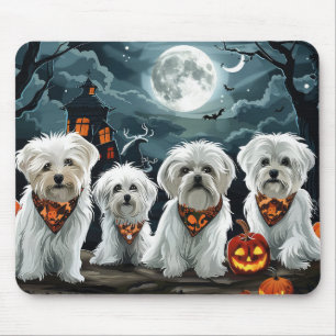 Maltesiska Halloween Spooky Musmatta