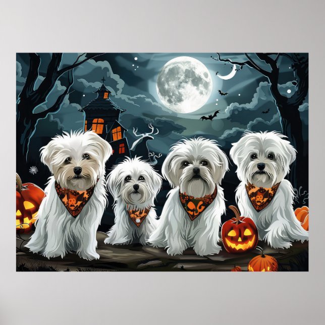 Maltesiska Halloween Spooky Poster (Framsidan)
