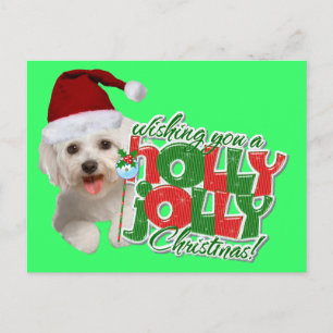 Maltesiska Has Holly Jolly jul Helg Vykort