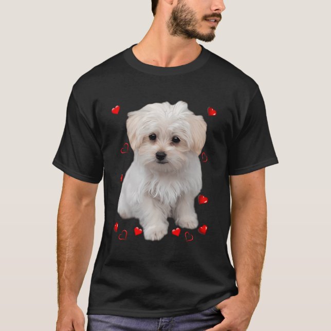 Maltesiska Hund älskare T-Shirts-Långärmaden med ö T Shirt (Framsida)