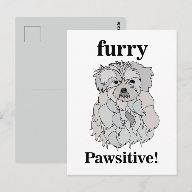 Maltesiska Hund Animal Pet Funny Vykort (Fram/baksida)