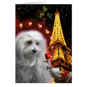 Maltesiska Hund Eiffel Torn IN KÄRLEK AGAIN Hälsningskort
