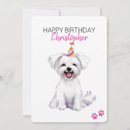 Maltesiska Hund Grattis på födelsedagen Kort