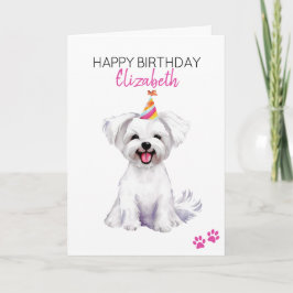 Maltesiska Hund Grattis på födelsedagen Kort
