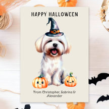 Maltesiska Hund Happy halloween