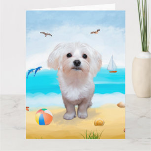 Maltesiska Hund i Beach Kort