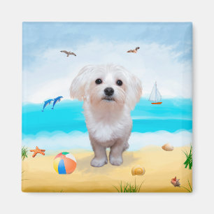 Maltesiska Hund i Beach Magnet