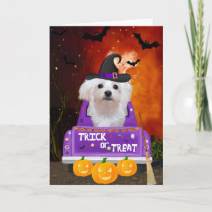 Maltesiska Hund i Halloween Lastbil Kort