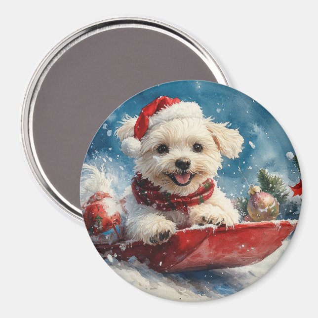 Maltesiska Hund i Sledge Låt det snöa jul Magnet (Front/Back)