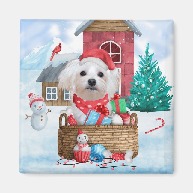 Maltesiska Hund i snö julhus Hund Magnet (Framsidan)