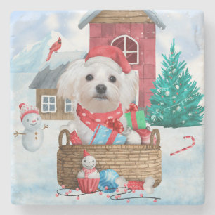 Maltesiska Hund i snö julhus Hund Stenunderlägg