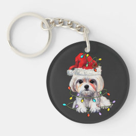 Maltesiska Hund Jul, Julafton Maltesiska Hund