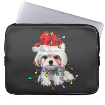 Maltesiska Hund Jul, Julafton Maltesiska Hund