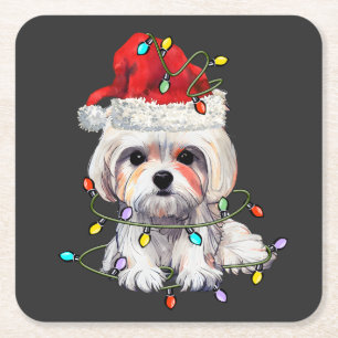 Maltesiska Hund Jul, Julafton Maltesiska Hund Underlägg Papper Kvadrat