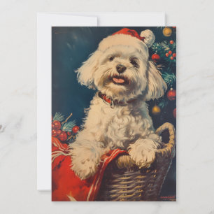 Maltesiska hund jul julkort
