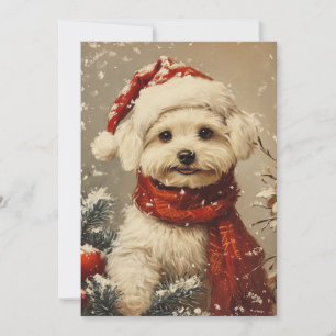 Maltesiska hund jul julkort