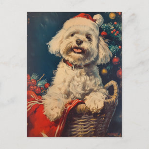 Maltesiska hund jul vykort