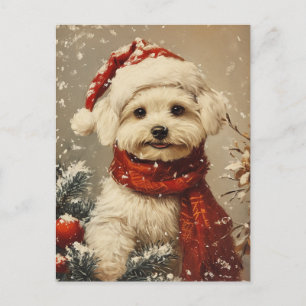 Maltesiska hund jul vykort