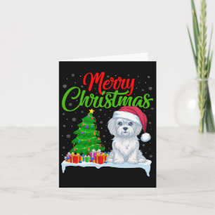 Maltesiska Hund Julgran Ljus Julafton maltesiska H Kort