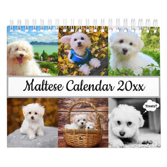 Maltesiska Hund Kalender (Omslag)