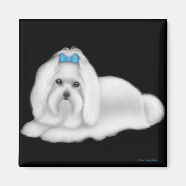 Maltesiska Hund Magnet (Framsidan)