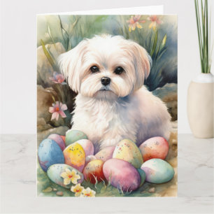 Maltesiska Hund med Påskägg Helgdag Kort