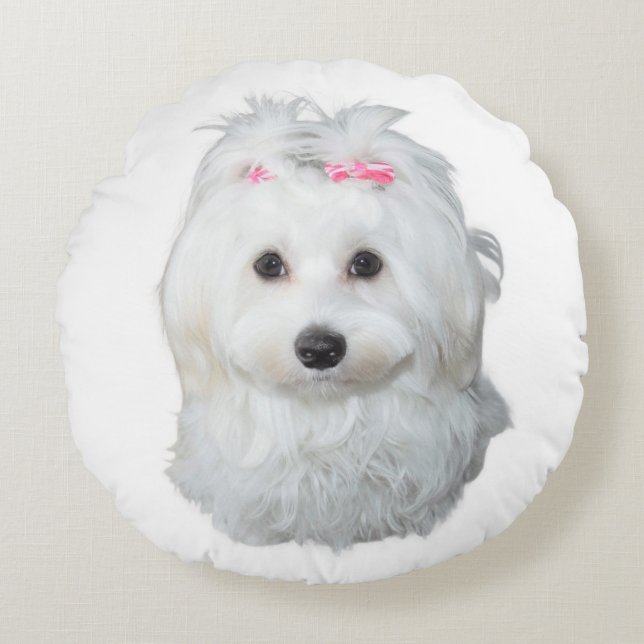 Maltesiska Hund med Rosa Bows Rund Kudde (Framsidan)