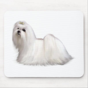 Maltesiska Hund Musmatta