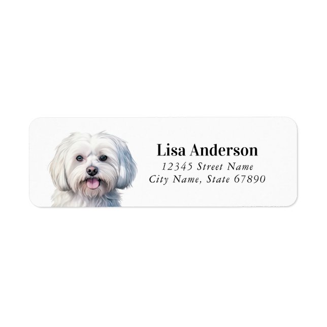 Maltesiska Hund Returetiketter Returadress Etikett (Framsidan)