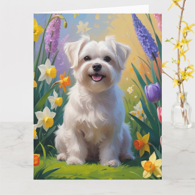Maltesiska Hund Vårblommor Målning Kort (Gul blomma)