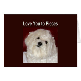 Maltesiska KÄRLEK DU TILL DELARA kort - Tom insida