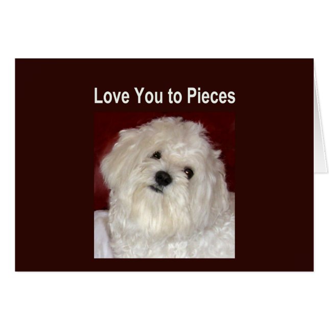 Maltesiska KÄRLEK DU TILL DELARA kort - Tom insida (Framsidan Horizontal)