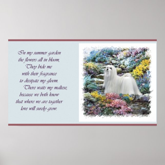 Maltesiska konst där Kärlek växer Poster (Framsidan)