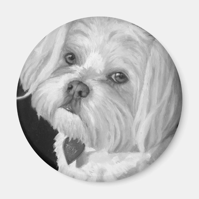 Maltesiska magnet (Framsidan)