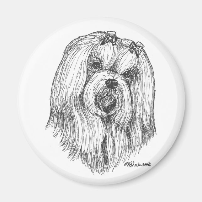 Maltesiska magnet (Framsidan)