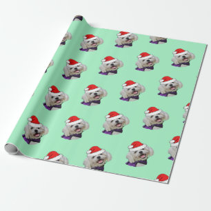 Maltesiska med Santa Hat Presentpapper