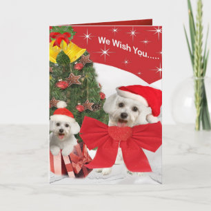 Maltesiska och marionett önskar dig God jul Helgkort