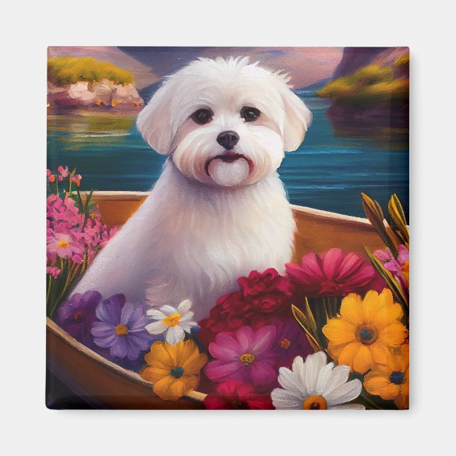 Maltesiska på Paddle: A Scenia Äventyr Magnet (Framsidan)