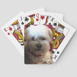 Maltesiska på spelkort